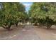 Picturesque walkway bordered by orange trees, leading to a charming gate and showcasing the property's lush landscape at 21131 E Excelsior Ave, Queen Creek, AZ 85142