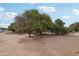 Scenic orchard landscape with mature fruit trees under a bright blue sky in an expansive setting at 21131 E Excelsior Ave, Queen Creek, AZ 85142