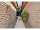 Charming walkway between brick walls leading to the entrance of a single-story home at 21131 E Excelsior Ave, Queen Creek, AZ 85142