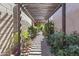 A charming pergola path leads through lush greenery and vibrant flowers, creating a tranquil oasis at 21539 N 72Nd Pl, Scottsdale, AZ 85255