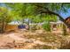 Wide view of a spacious backyard featuring mature trees providing ample shade, a meandering walkway, and lush greenery at 3247 E Sheridan St, Phoenix, AZ 85008