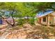 View of the backyard with mature trees, a small garden, and a walkway leading to a charming single-story home at 3247 E Sheridan St, Phoenix, AZ 85008