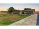 Expansive backyard boasts a green lawn, a concrete patio, and mature trees at 3536 W Cholla St, Phoenix, AZ 85029