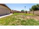 Spacious backyard with ample grass area, mature tree, block fence, and privacy at 3536 W Cholla St, Phoenix, AZ 85029