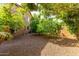 This private backyard area is surrounded by trees and includes an orange tree and gravel at 7039 W Katharine Way, Peoria, AZ 85383