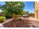 Landscaped front yard with a shade tree and an ornate gate leading to a brick driveway with a parked car at 7039 W Katharine Way, Peoria, AZ 85383