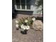 Close up of flowering cactus surrounded by pea gravel landscaping at 7590 W Firebird Dr, Glendale, AZ 85308