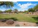 Expansive community green space features lush grass, desert landscaping, and walking paths at 7758 E Nestling Way, Scottsdale, AZ 85255