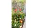 Landscaping with flowers in backyard at 8419 E Stella Ln, Scottsdale, AZ 85250