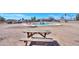 Spacious backyard with a picnic table and a pool, offering ample space for outdoor dining, recreation, and relaxation at 9713 E El Paso St, Mesa, AZ 85207