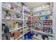 Organized walk-in pantry featuring ample shelving for food storage and kitchen essentials at 9713 E El Paso St, Mesa, AZ 85207