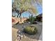 Well-maintained front yard with mature trees, desert landscaping, and decorative rock features at 10705 W Montecito Ave, Phoenix, AZ 85037