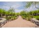 Scenic walking path lined with trees and desert landscaping for a tranquil outdoor experience at 18283 N 93Rd St, Scottsdale, AZ 85255
