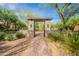 Neighborhood walkway framed by lush trees and green landscaping, creating a serene and inviting outdoor space at 18283 N 93Rd St, Scottsdale, AZ 85255