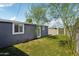 Exterior shot of a well-maintained backyard with lush artificial turf and shed at 2118 E Oak St, Phoenix, AZ 85006