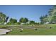 Outdoor amphitheater featuring well-maintained green space perfect for events and gatherings at 3336 W Morse Dr, Anthem, AZ 85086