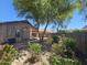 Lush backyard features mature trees, various plants, and a rock-lined garden area for a relaxing outdoor retreat at 4255 E Rock Dr, San Tan Valley, AZ 85143