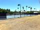 Well-maintained tennis court with lighting surrounded by lush greenery and palm trees at 5514 E Pershing Ave, Scottsdale, AZ 85254