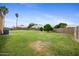 Wide backyard featuring lush green grass, mature trees, and a privacy wall for a serene outdoor experience at 665 S Balboa --, Mesa, AZ 85206