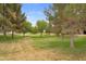 Scenic park with mature trees, manicured grass, and walking paths at 1069 S Nancy Ln, Gilbert, AZ 85296