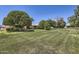 Well-maintained front yard with lush green grass and mature trees, creating a serene and inviting atmosphere at 13631 N 103Rd Ave, Sun City, AZ 85351