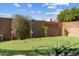 Backyard putting green with mature trees, privacy fence, and lush landscaping under a bright sky at 2328 W Nopal Ave, Mesa, AZ 85202