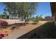 A charming backyard featuring established trees and colorful bougainvillea at 3317 N 10Th Ave, Phoenix, AZ 85013