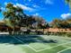 Outdoor basketball court with green surface and white lines, surrounded by trees and landscaping at 3840 E San Mateo Way, Chandler, AZ 85249