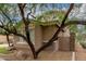 Home exterior featuring xeriscaping and a mature tree providing shade at 4254 S Winter Ln, Gilbert, AZ 85297