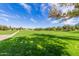 Expansive grassy field with walking path offers space for outdoor activities and enjoyment of nature at 4254 S Winter Ln, Gilbert, AZ 85297