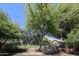 Enjoy the view from the backyard overlooking mature trees, landscaping, and a black metal fence at 7126 W Ocotillo Rd, Glendale, AZ 85303