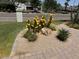 Landscaped front yard featuring beautiful yellow flowers, cacti, gravel and brick pavers at 7471 E Northern Ave, Scottsdale, AZ 85258
