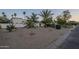 Desert landscaping graces the front yard, showcasing mature trees and a xeriscape design at 7471 E Northern Ave, Scottsdale, AZ 85258