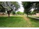 Expansive green park with mature trees, walking paths, and open space at 8341 W Gross Ave, Tolleson, AZ 85353