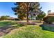 Lush backyard featuring a large tree, green grass, and neighborhood view at 9863 W Country Club Ct, Sun City, AZ 85373