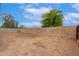 Large backyard with a sturdy block wall, perfect for pets and outdoor activities at 9920 N 73Rd Ave, Peoria, AZ 85345