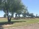 Lovely golf course with mature trees located in a vibrant community at 1320 E Bellerive Dr, Chandler, AZ 85249