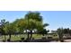 Beautiful golf course view in a community with mature trees and desert landscaping at 1320 E Bellerive Dr, Chandler, AZ 85249