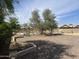 Large backyard with a chain link fence, desert landscaping, and mature trees at 14228 N 150Th Ln, Surprise, AZ 85379