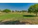 Expansive green space dotted with mature trees, perfect for outdoor activities and community enjoyment at 321 W Betsy Ln, Gilbert, AZ 85233