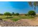 Lush greenspace in a park-like setting with mature trees and well-maintained landscaping at 321 W Betsy Ln, Gilbert, AZ 85233