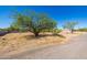 Expansive lot featuring natural landscaping and scattered mature trees, perfect for a custom home at 5515 E Dale Ln, Cave Creek, AZ 85331