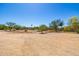 Large lot with natural desert landscaping, mature trees, and plenty of room to build at 5515 E Dale Ln, Cave Creek, AZ 85331