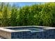 Relaxing spa with tiled surround and green privacy hedge at 5515 E Dale Ln, Cave Creek, AZ 85331