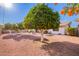 Scenic backyard with mature landscaping, including trees and flowering bushes, surrounding the home at 5633 E Colby St, Mesa, AZ 85205
