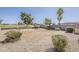 Gravel backyard with sparse vegetation, enclosed by block wall and fence, with trees in view at 11016 W Griswold Rd, Peoria, AZ 85345