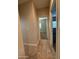 Carpeted hallway showcasing entryways to different bedrooms at 1730 W Pollack St, Phoenix, AZ 85041
