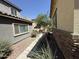 View of landscaped side yard between homes with low maintenance desert landscaping and a sidewalk to the front at 1738 W Pollack St, Phoenix, AZ 85041