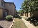 View of the landscaped side yard between two houses featuring low maintenance gravel, pavers and mature trees at 1738 W Pollack St, Phoenix, AZ 85041