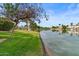 Backyard with lush grass, mature trees, landscaping and beautiful lake view at 2128 E Clipper Ln, Gilbert, AZ 85234